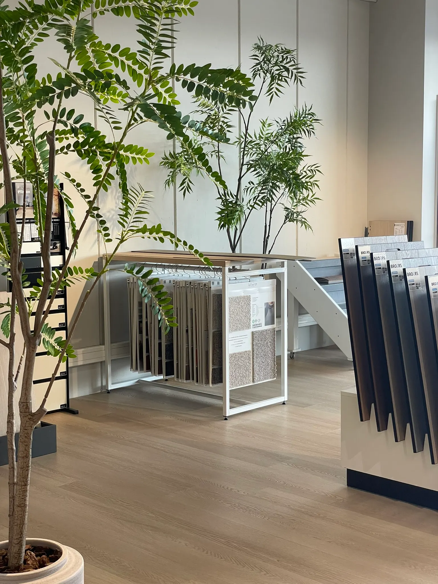 Stalenrek met een boom in de showroom van Broers